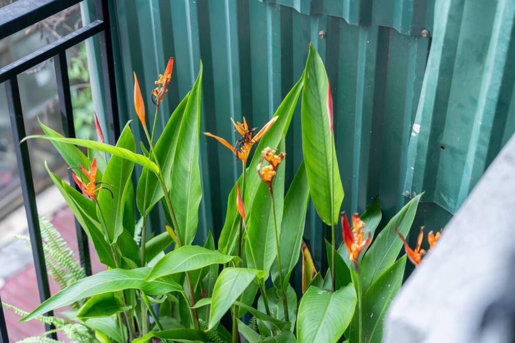 Entireplace*2Br/Bathtub/Supercenter*New* Hanoi Exterior foto